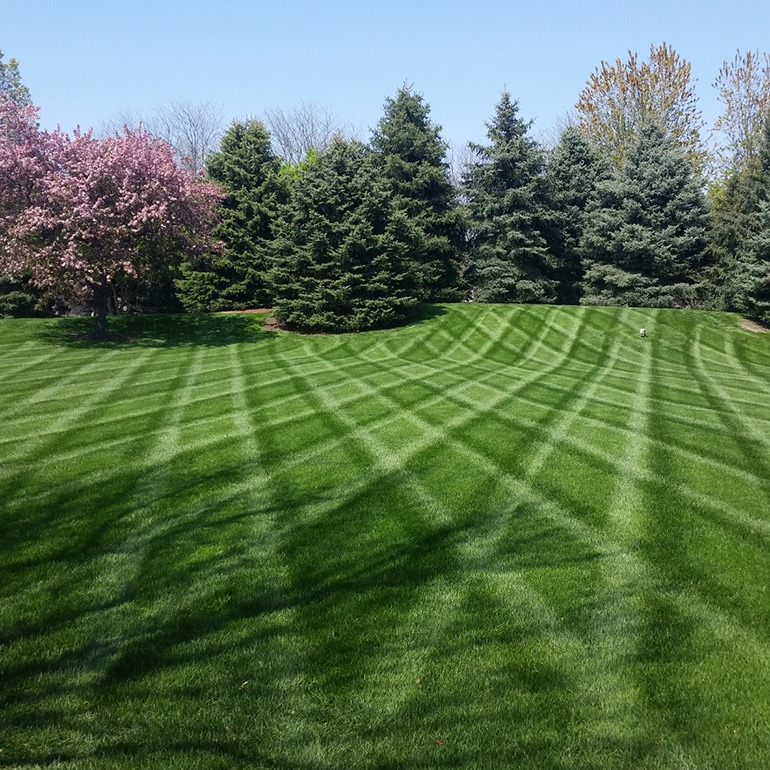 Lawn