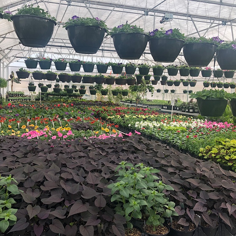 Nursery
