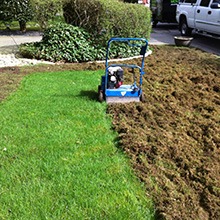 Power Raking
