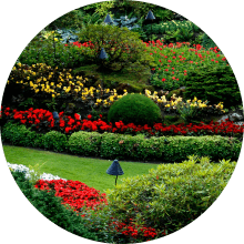 Landscape Design & Installation